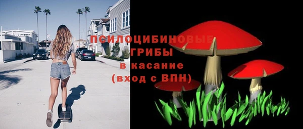 стафф Алзамай