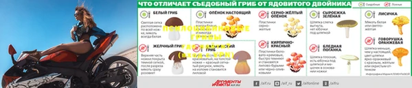 амф Абинск