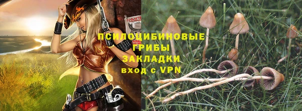 шишки Алексин