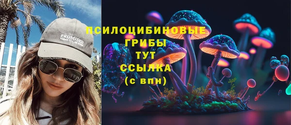 амф Абинск