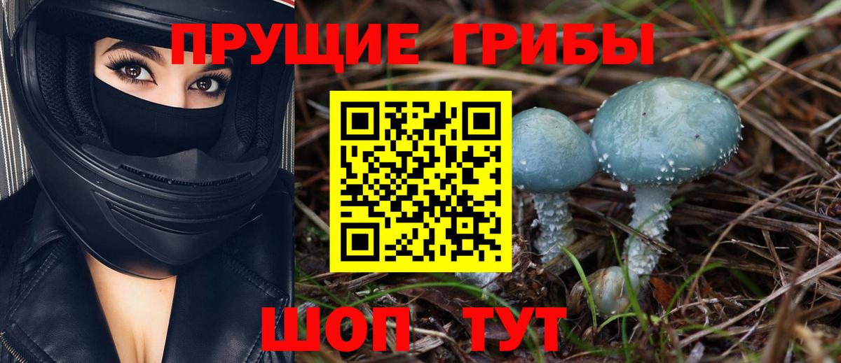 Псилоцибиновые грибы мухоморы  Вход с VPN  Мирный  Псилоцибиновые грибы мухоморы 
